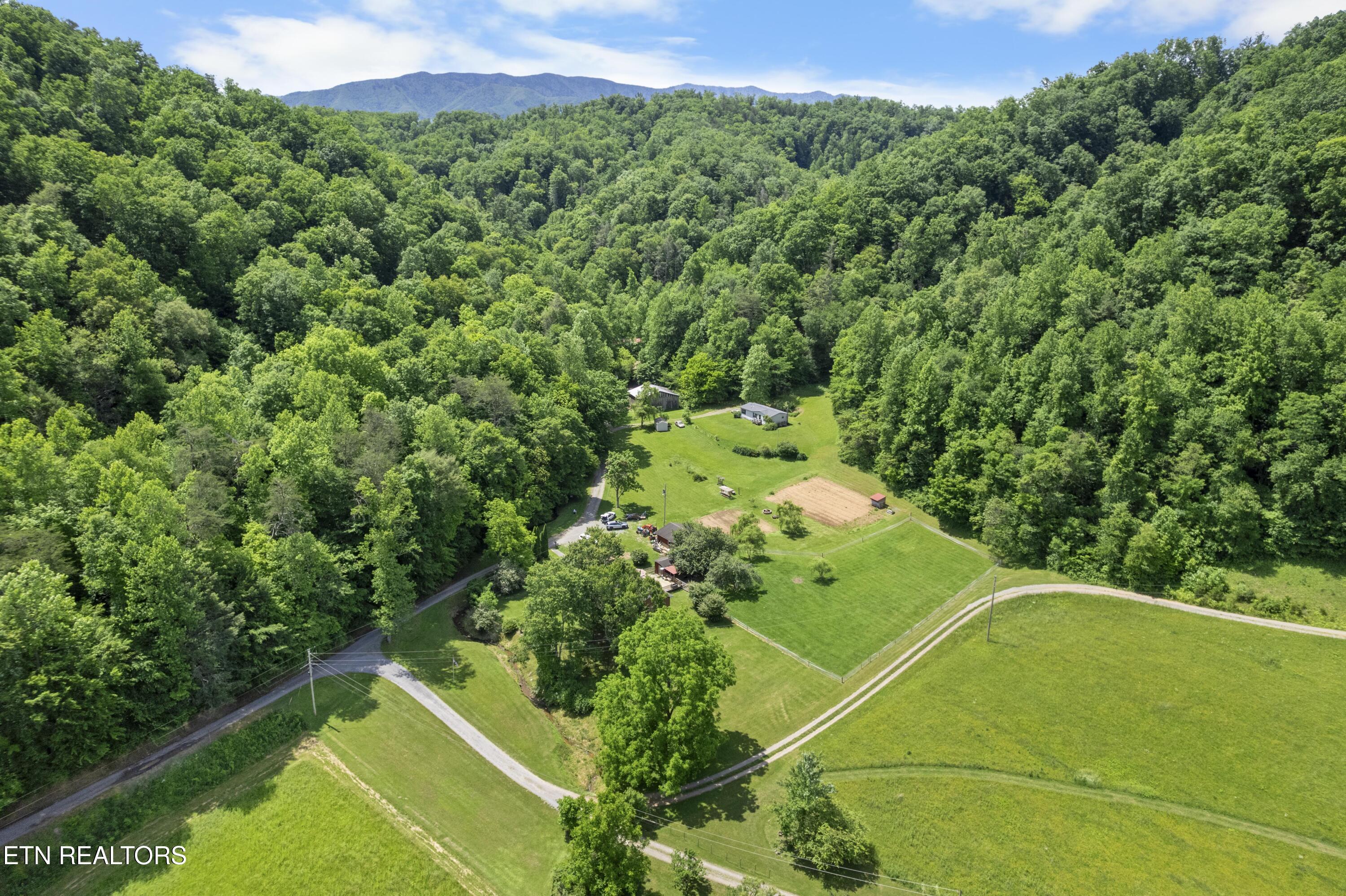 4884 Jones Cove Road Cosby, TN 37722 - Photo 32 of 51 DJI_0449