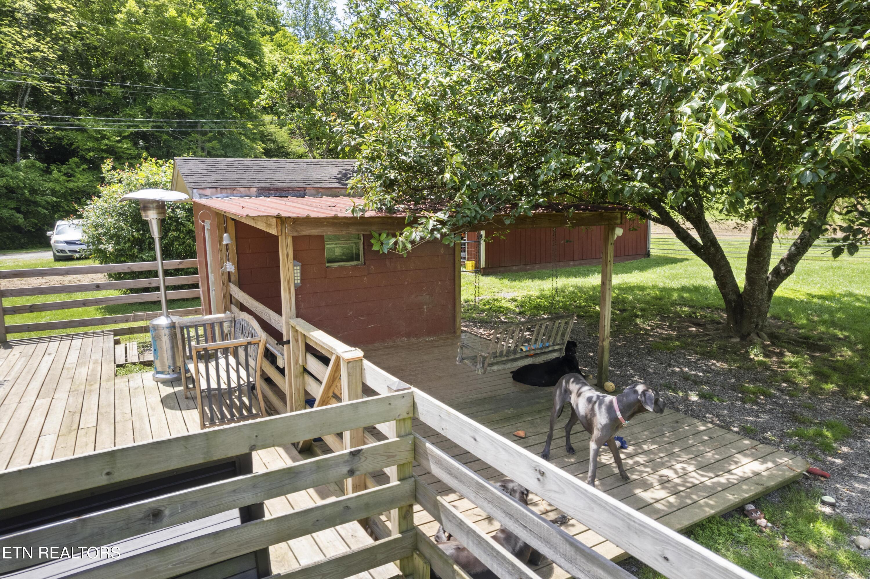 4884 Jones Cove Road Cosby, TN 37722 - Photo 45 of 51 DJI_0500