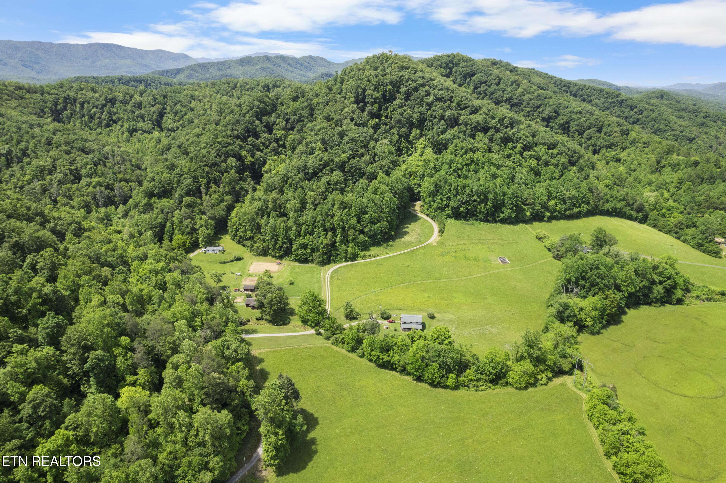 4884 Jones Cove Road Cosby, TN 37722 - Photo 47 of 51 DJI_0550