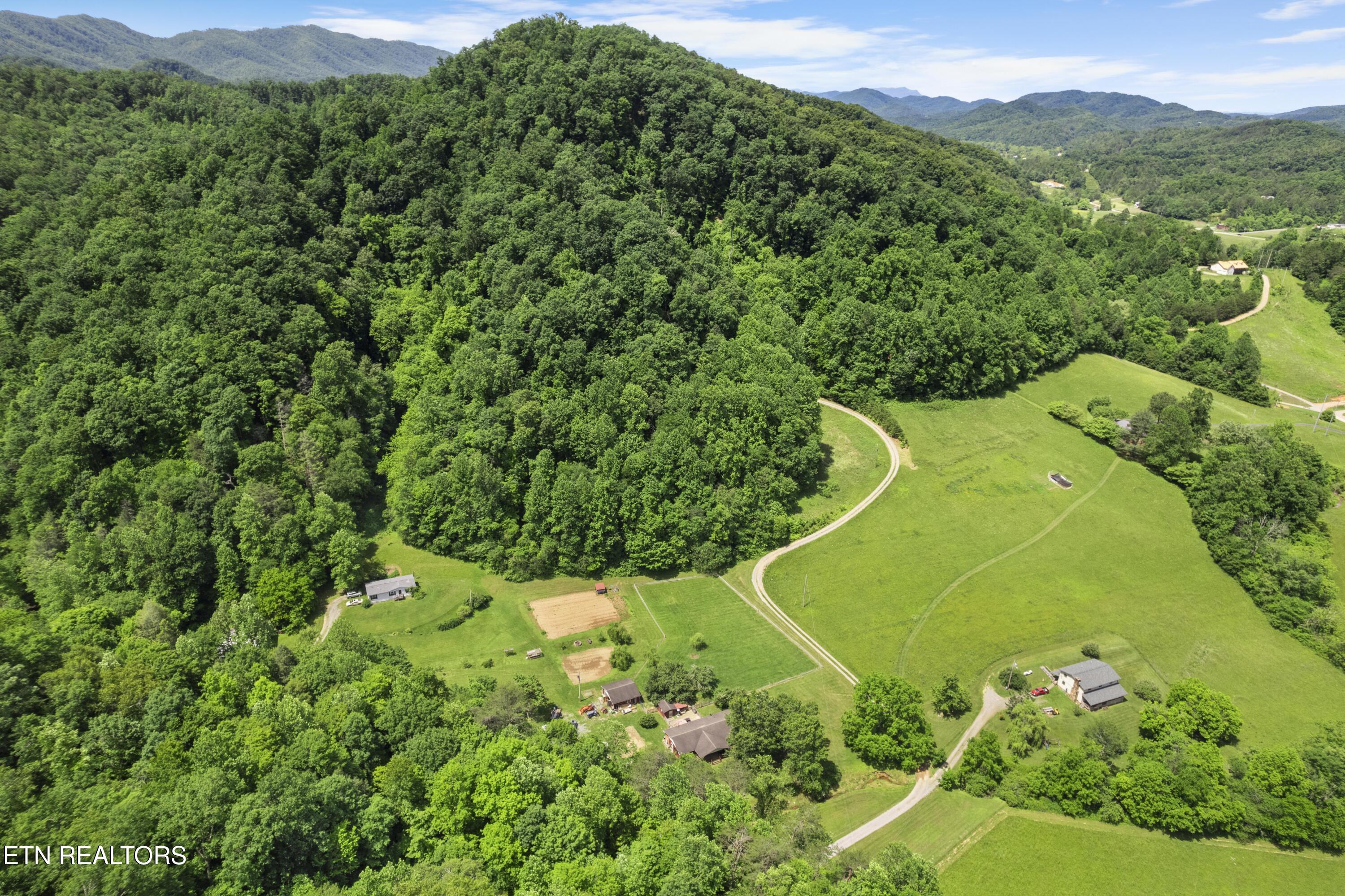 4884 Jones Cove Road Cosby, TN 37722 - Photo 48 of 51 DJI_0553