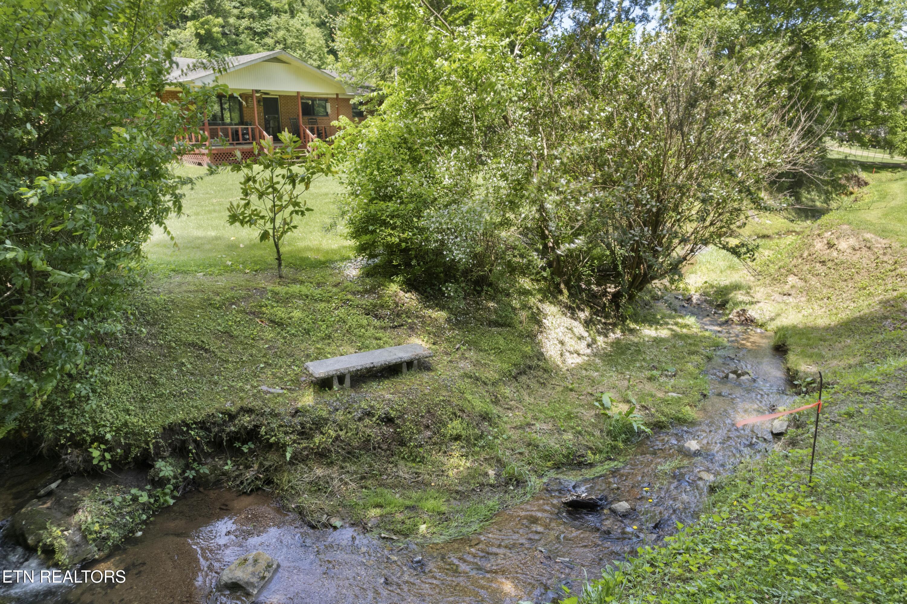 4884 Jones Cove Road Cosby, TN 37722 - Photo 8 of 51 DJI_0615