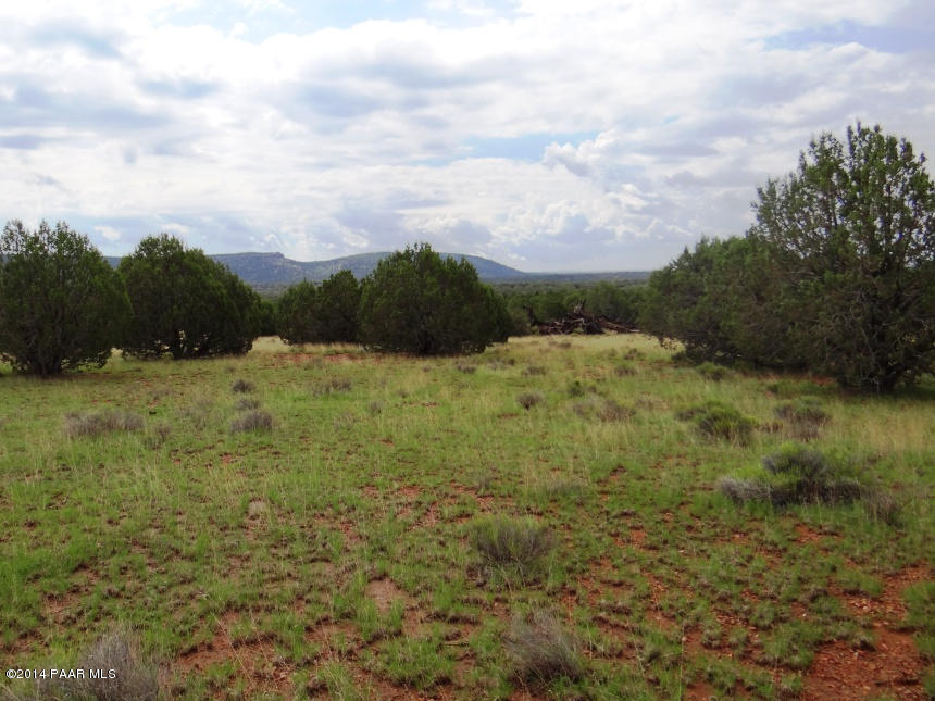 ^DSC01889_Grass