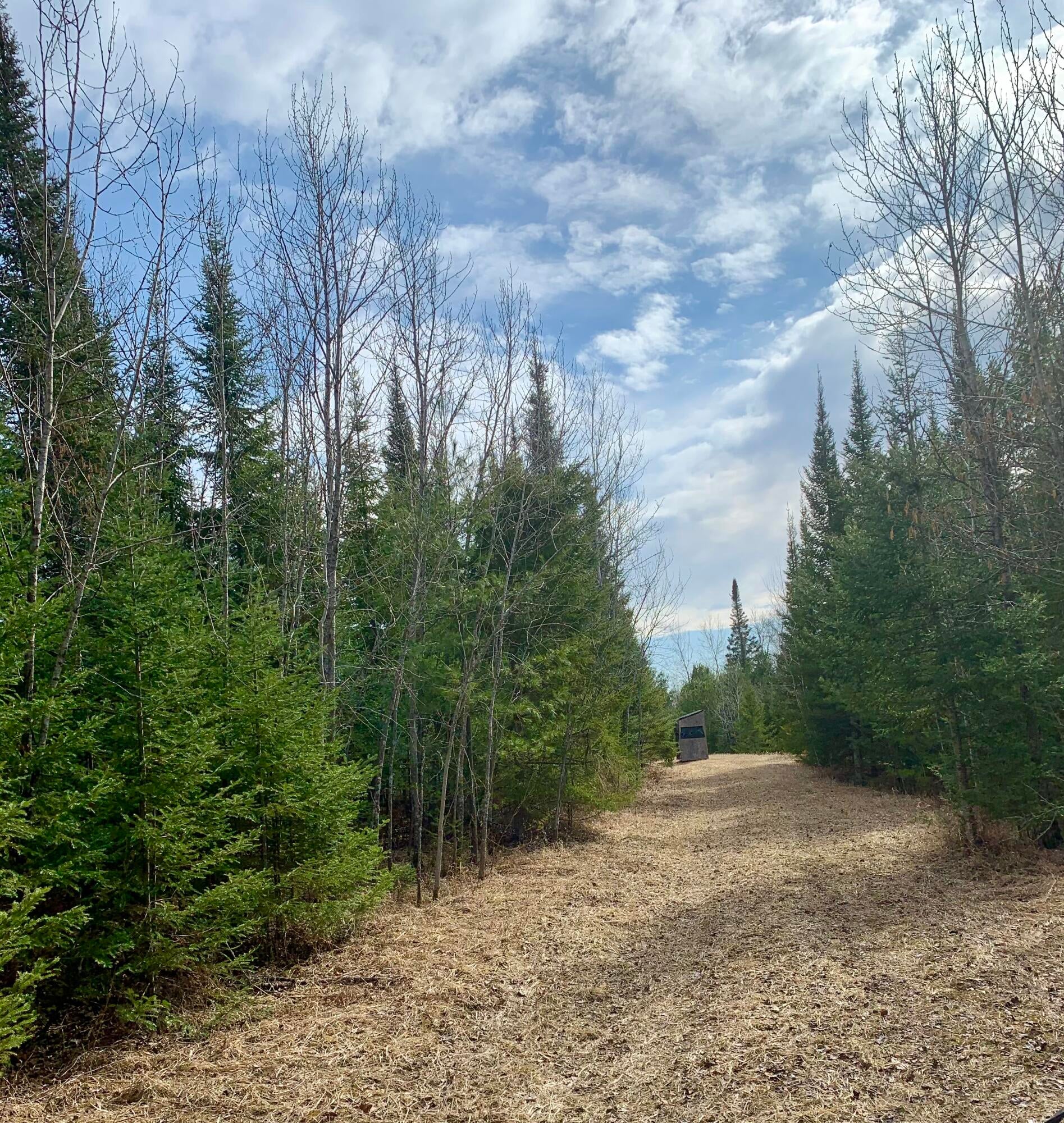 Nhn Coombs Road Hillman, MI 49746 - Photo 10 of 16 Gallery Image 10