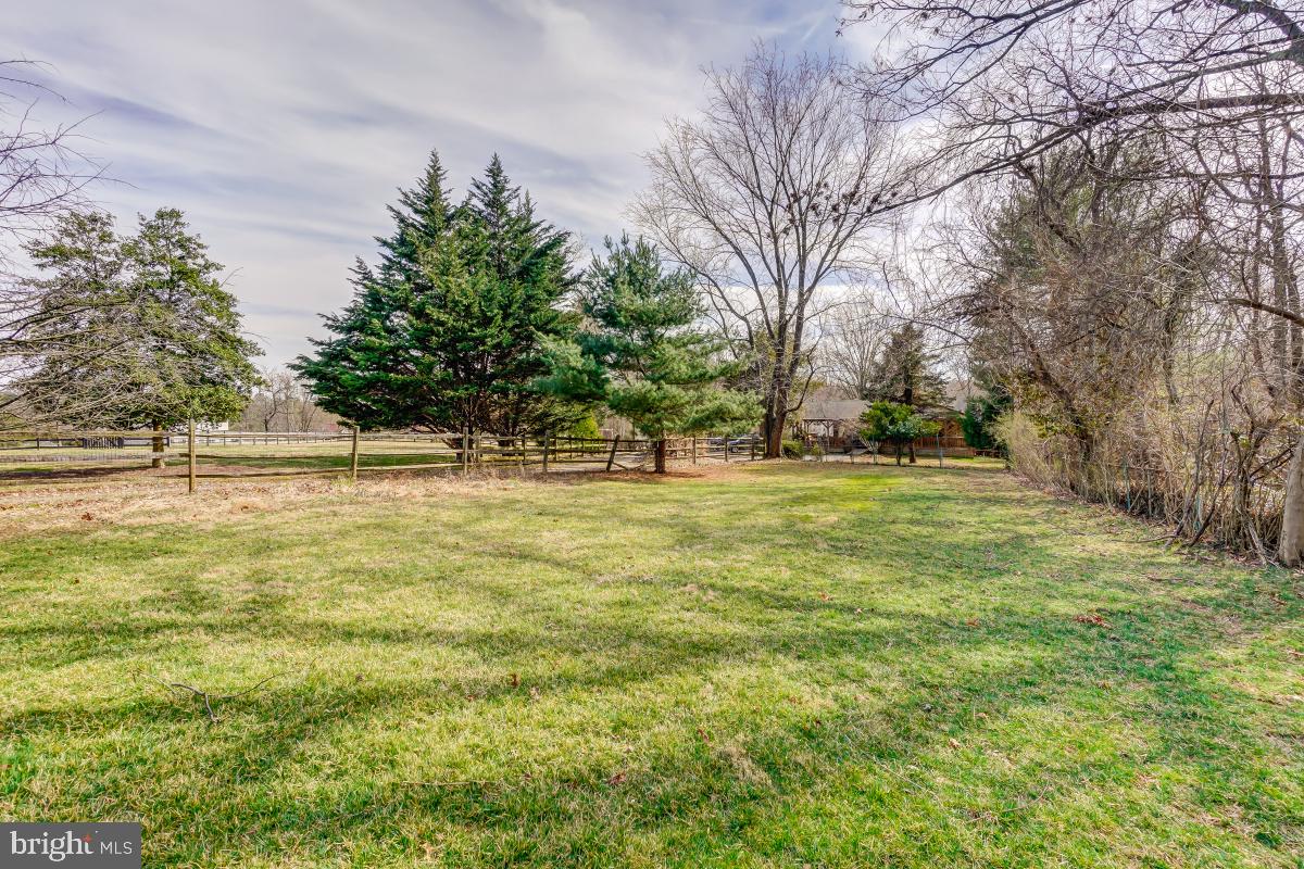 1309 Ednor Road Silver Spring, MD 20905 - Photo 35 of 53 Rear Yard