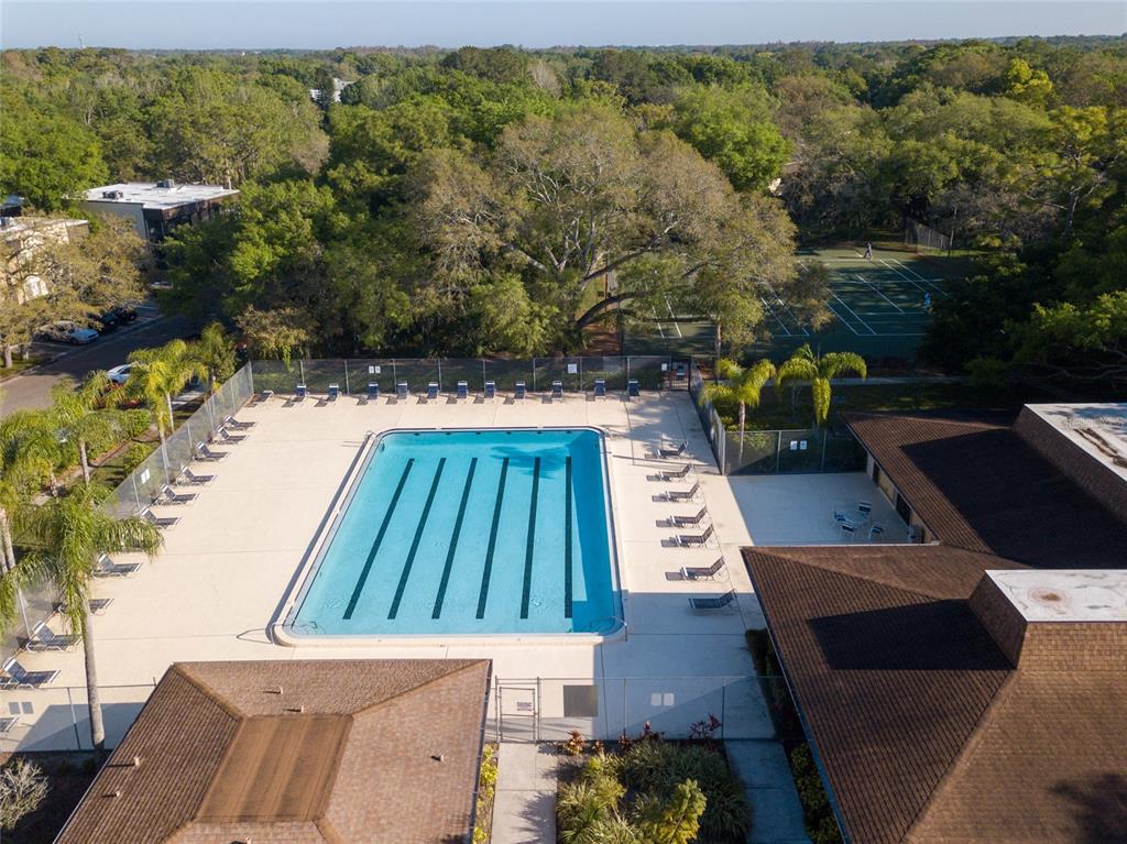 11720 Raintree Village Boulevard, Unit A Temple Terrace, FL 33617 - Photo 30 of 33