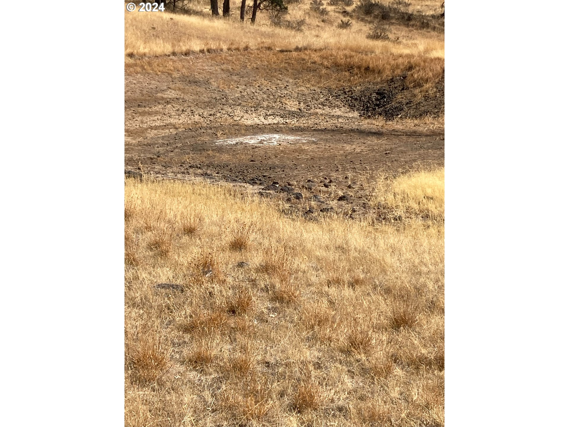 86 Meacham Road Goldendale, WA 98620 - Photo 21 of 26 Gallery Image 21
