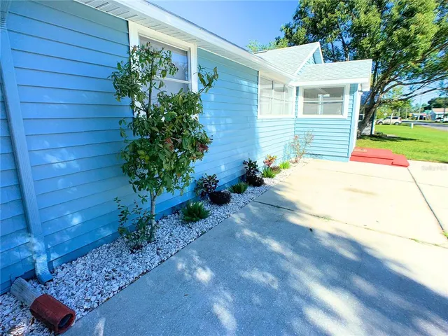 a view of a backyard with plants and trees