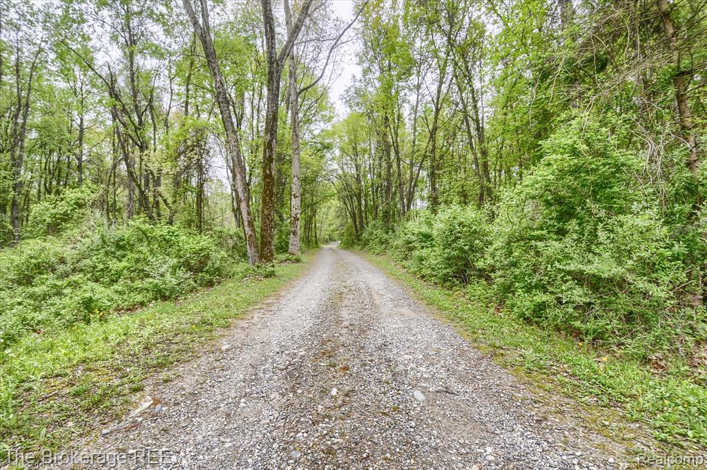 12445 Shaffer Road Davisburg, MI 48350 - Photo 7 of 67