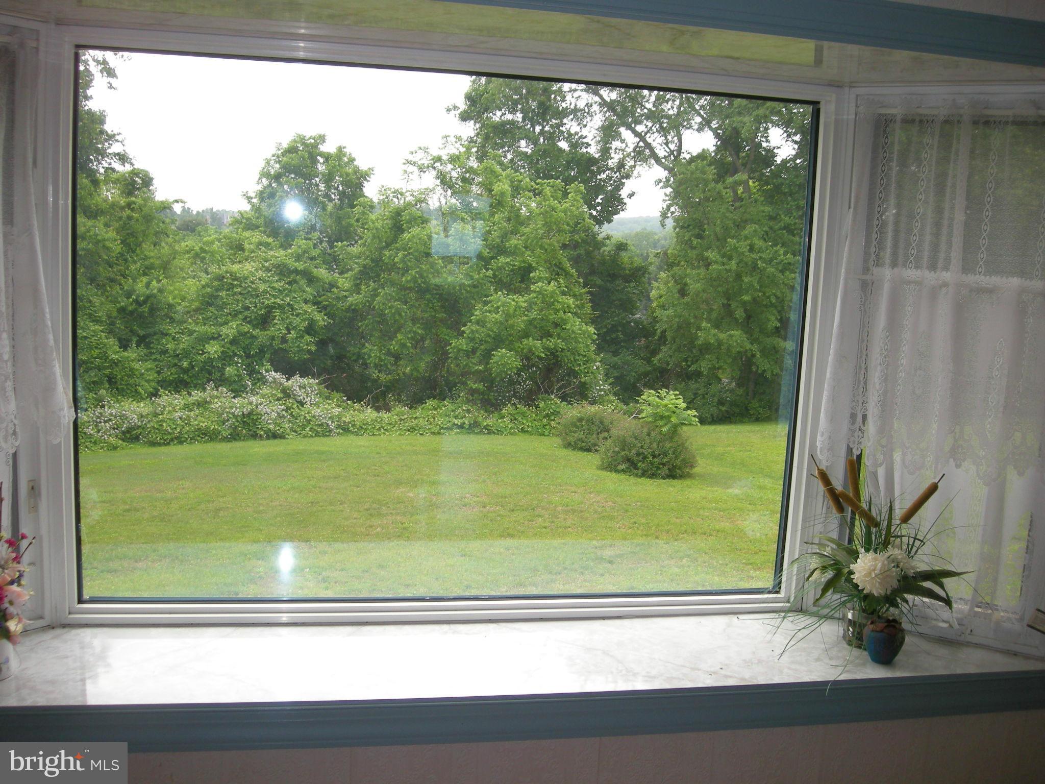 1301 Mill Creek Road Fallston, MD 21047 - Photo 2 of 17 Living Room view of back yard