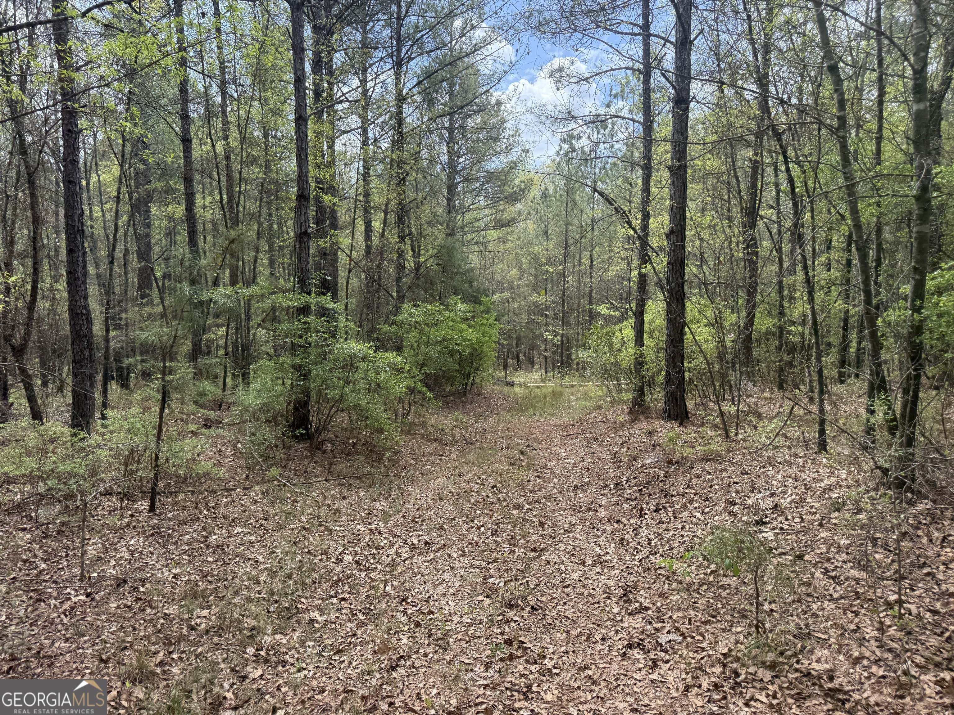 0 Walton Road Fort Valley, GA 31030 - Photo 2 of 2