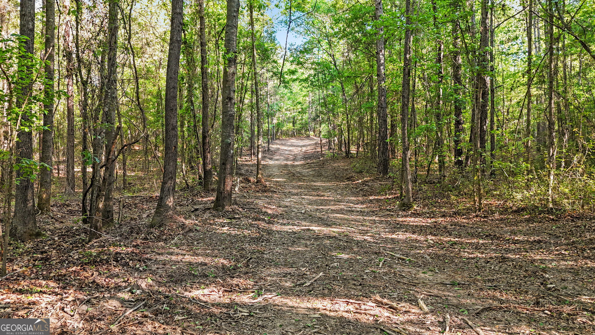 0 Union Church Road Fort Valley, GA 31030 - Photo 23 of 30 a view of a yard with plants and large trees