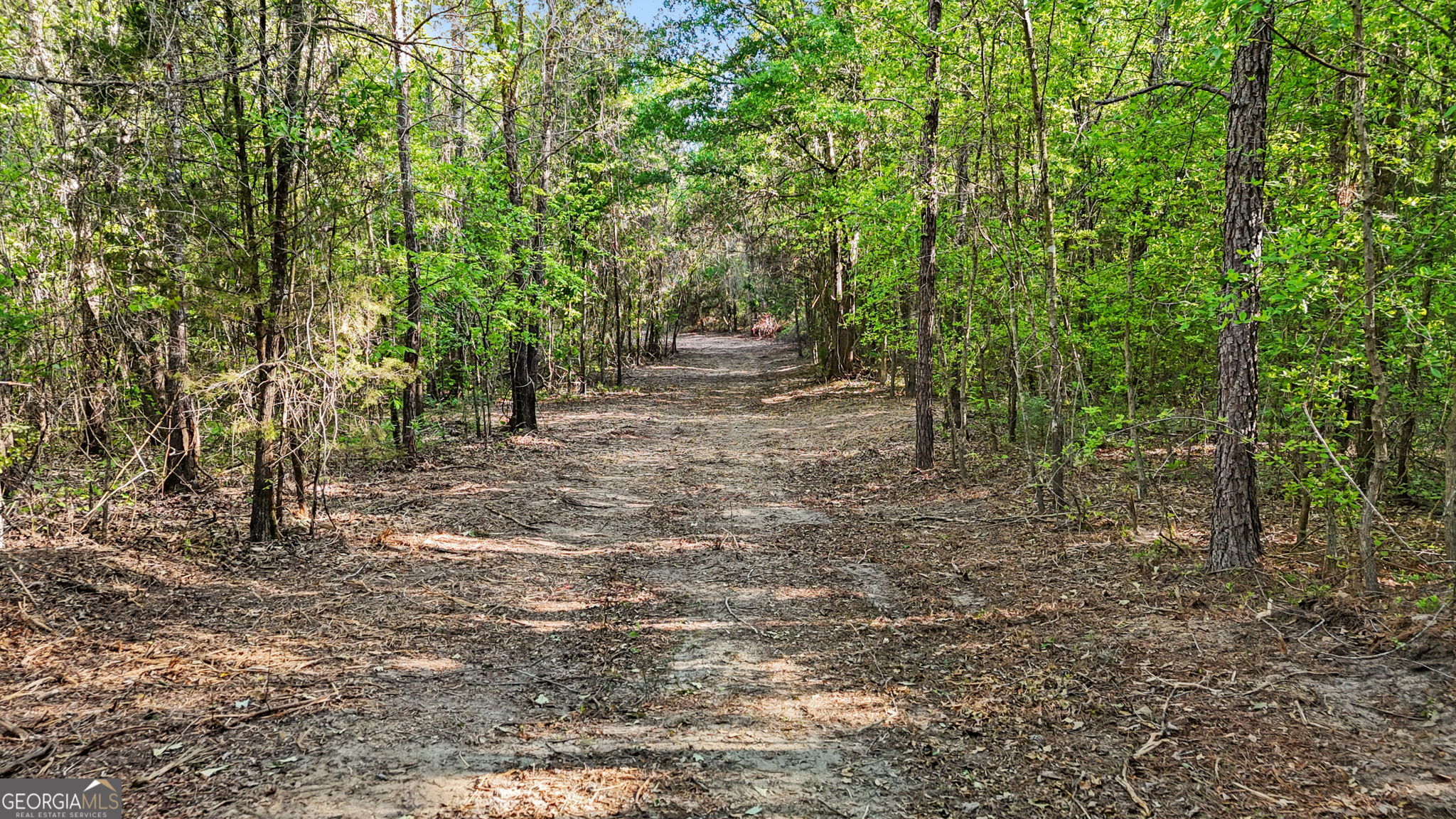 0 Union Church Road Fort Valley, GA 31030 - Photo 26 of 30 a view of a forest with trees in the background