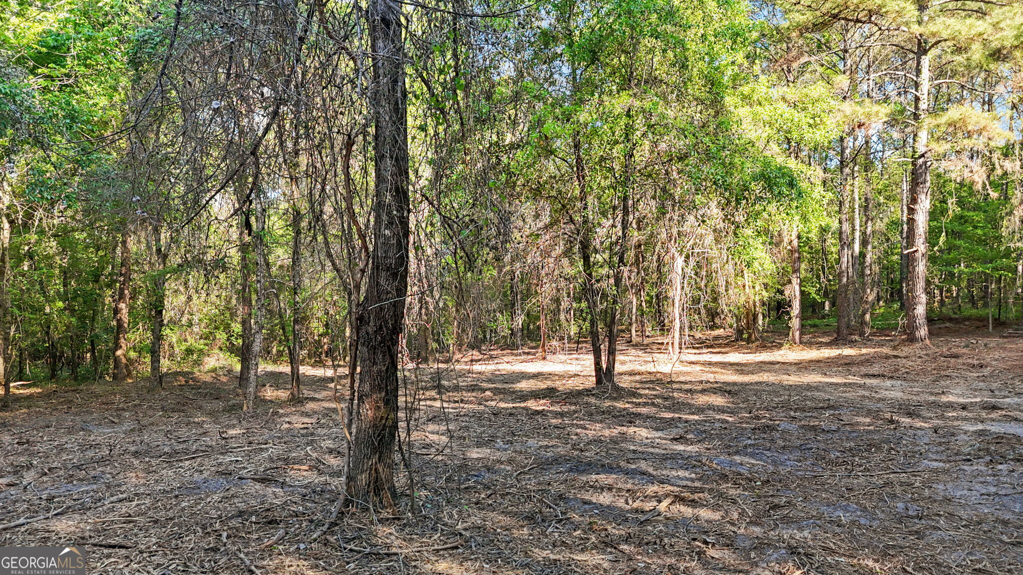 0 Union Church Road Fort Valley, GA 31030 - Photo 27 of 30 a view of outdoor space with trees