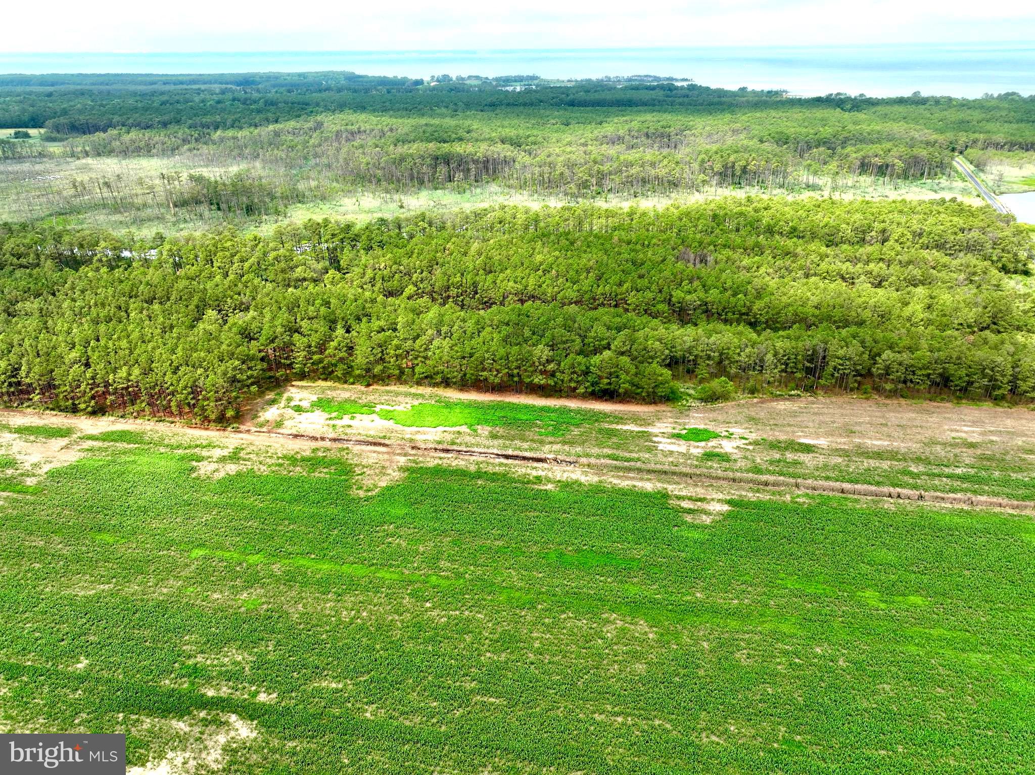 0 Hooper Neck Road Madison, MD 21648 - Photo 17 of 129