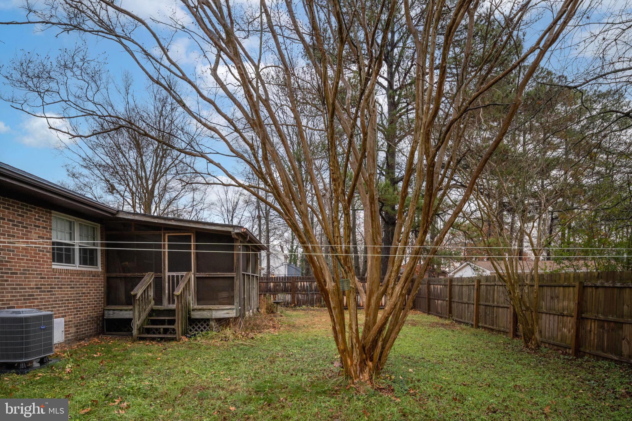 128 11th Street Colonial Beach, VA 22443 - Photo 50 of 58 a backyard of a house with barbeque oven and large trees