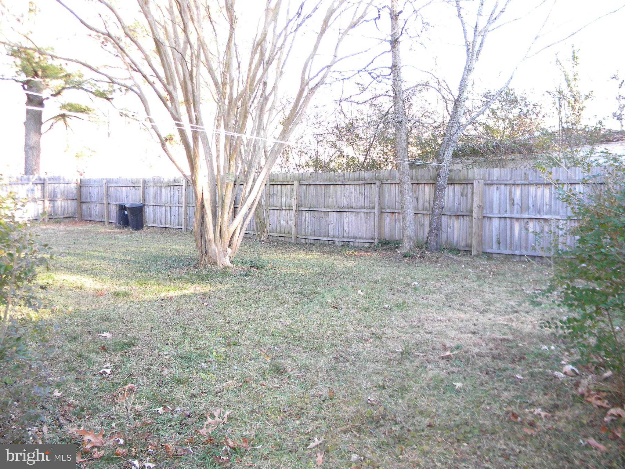 128 11th Street Colonial Beach, VA 22443 - Photo 53 of 80 a view of a backyard with a small cabin and a large tree