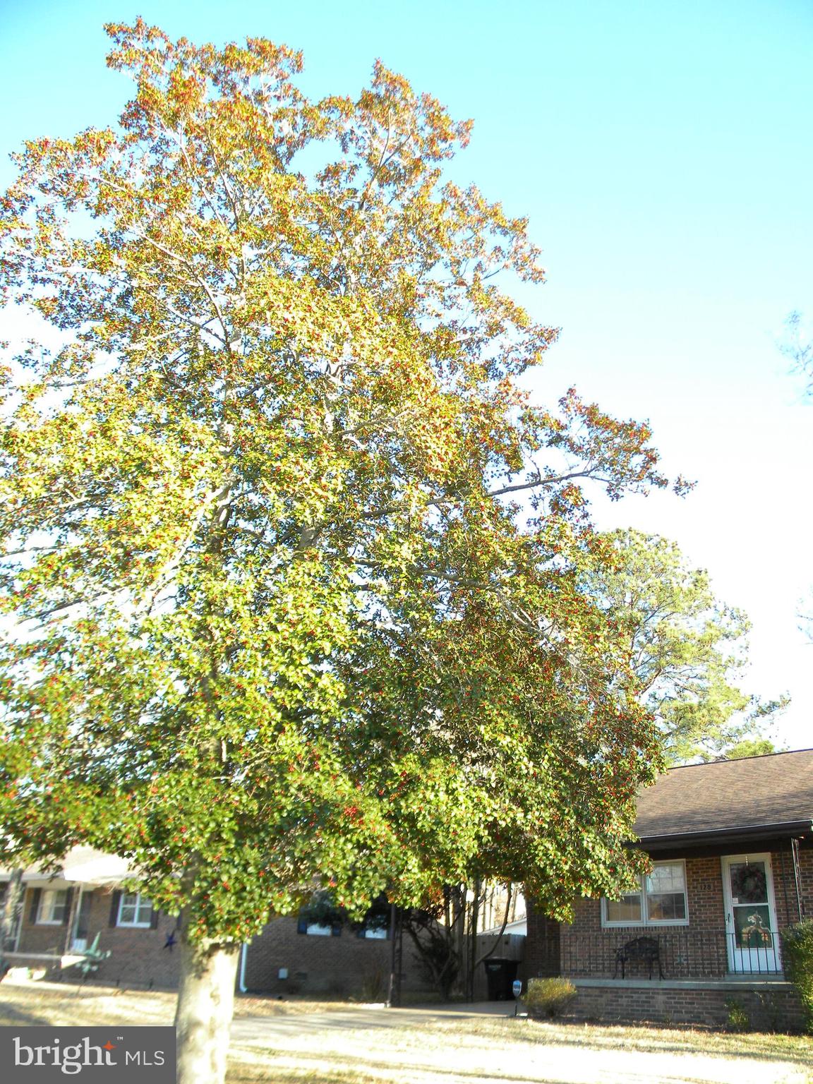 128 11th Street Colonial Beach, VA 22443 - Photo 76 of 80