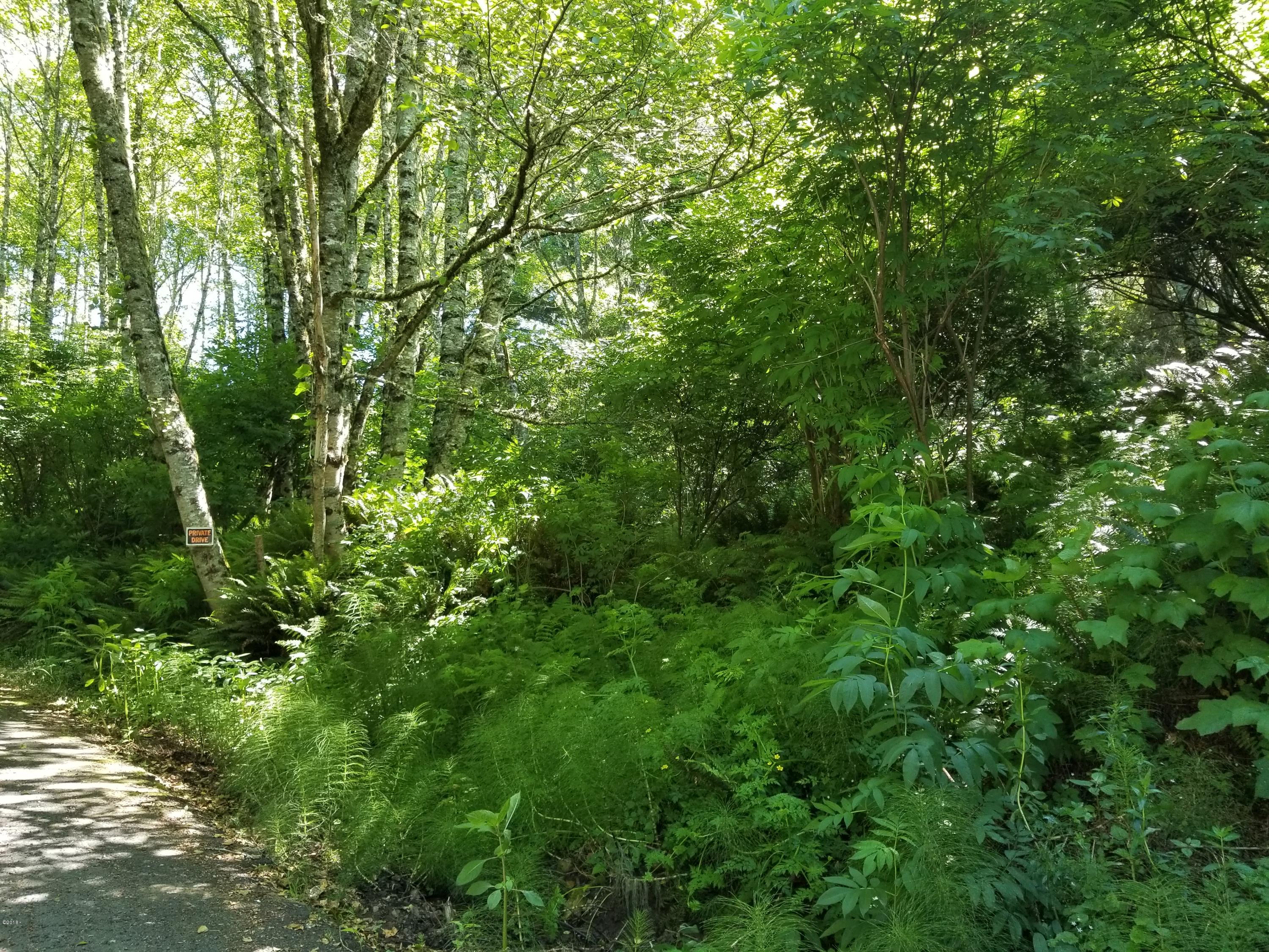 0308 Brooten Hill Road Pacific City, OR 97135 - Photo 2 of 2 Street View