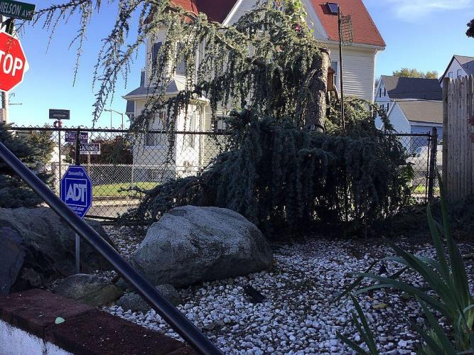 2 Ferry Street Everett, MA 02149 - Photo 23 of 29