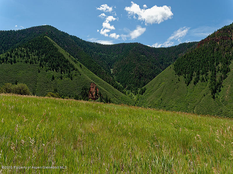 396 Castle Lane Basalt, CO 81621 - Photo 11 of 32 FryingPan_WEB07