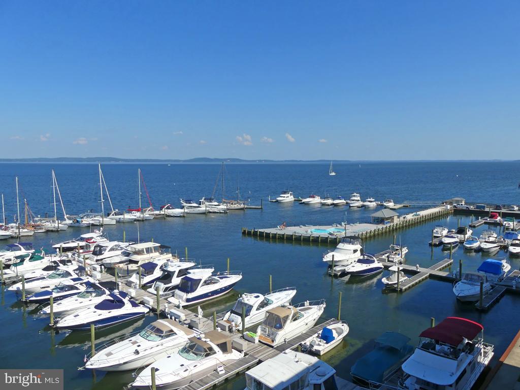505 Concord Street, Unit 1A Havre de Grace, MD 21078 - Photo 1 of 35 an aerial view of a ocean view