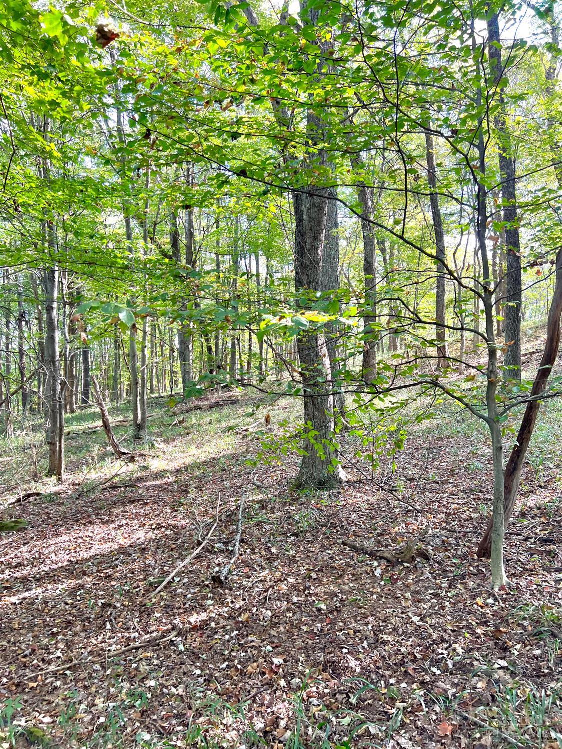 0 South Chenoweth Fork Road Piketon, OH 45661 - Photo 32 of 95