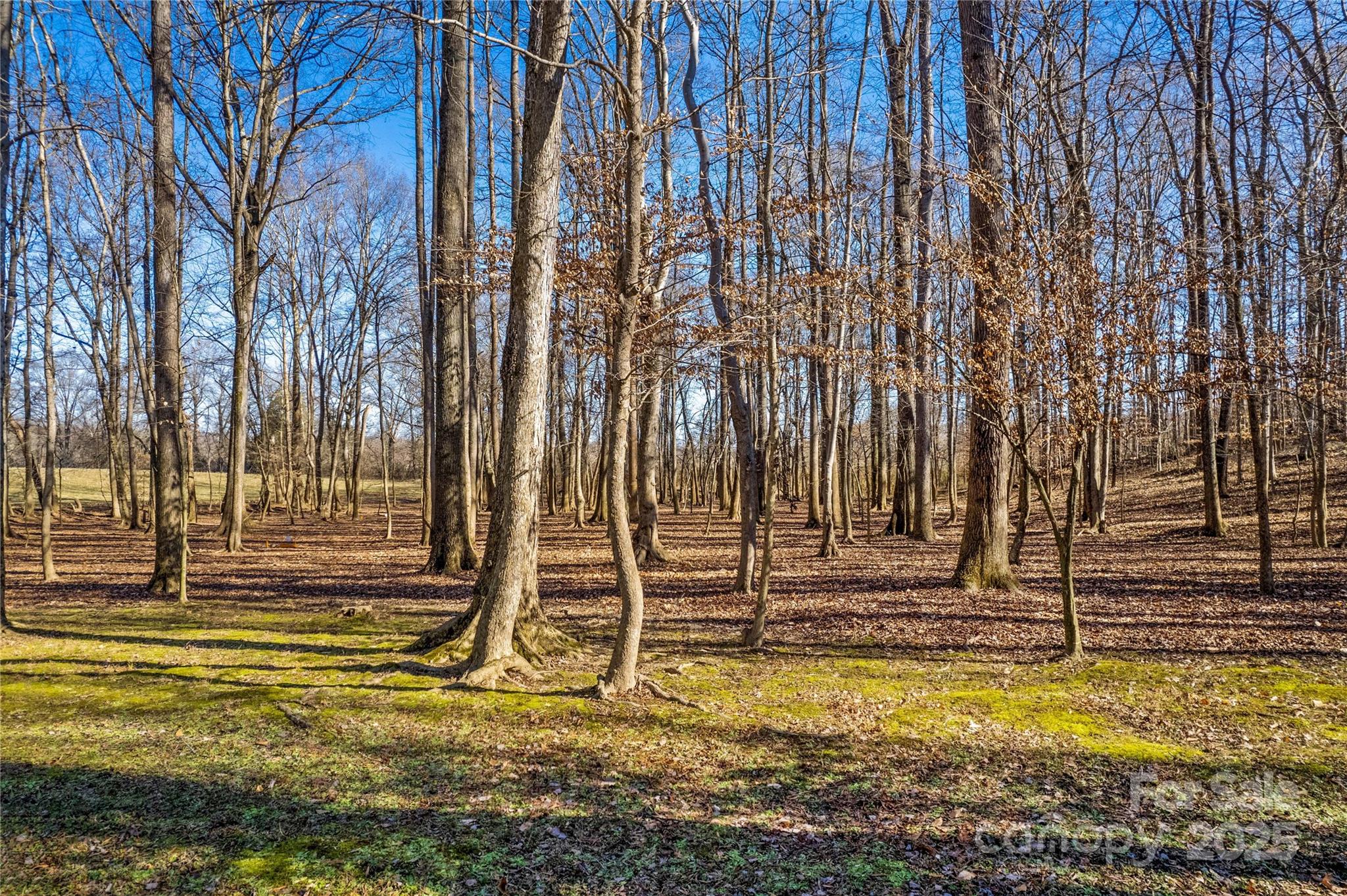 797 Chief Thomas Road Harmony, NC 28634 - Photo 30 of 35 Gallery Image 30