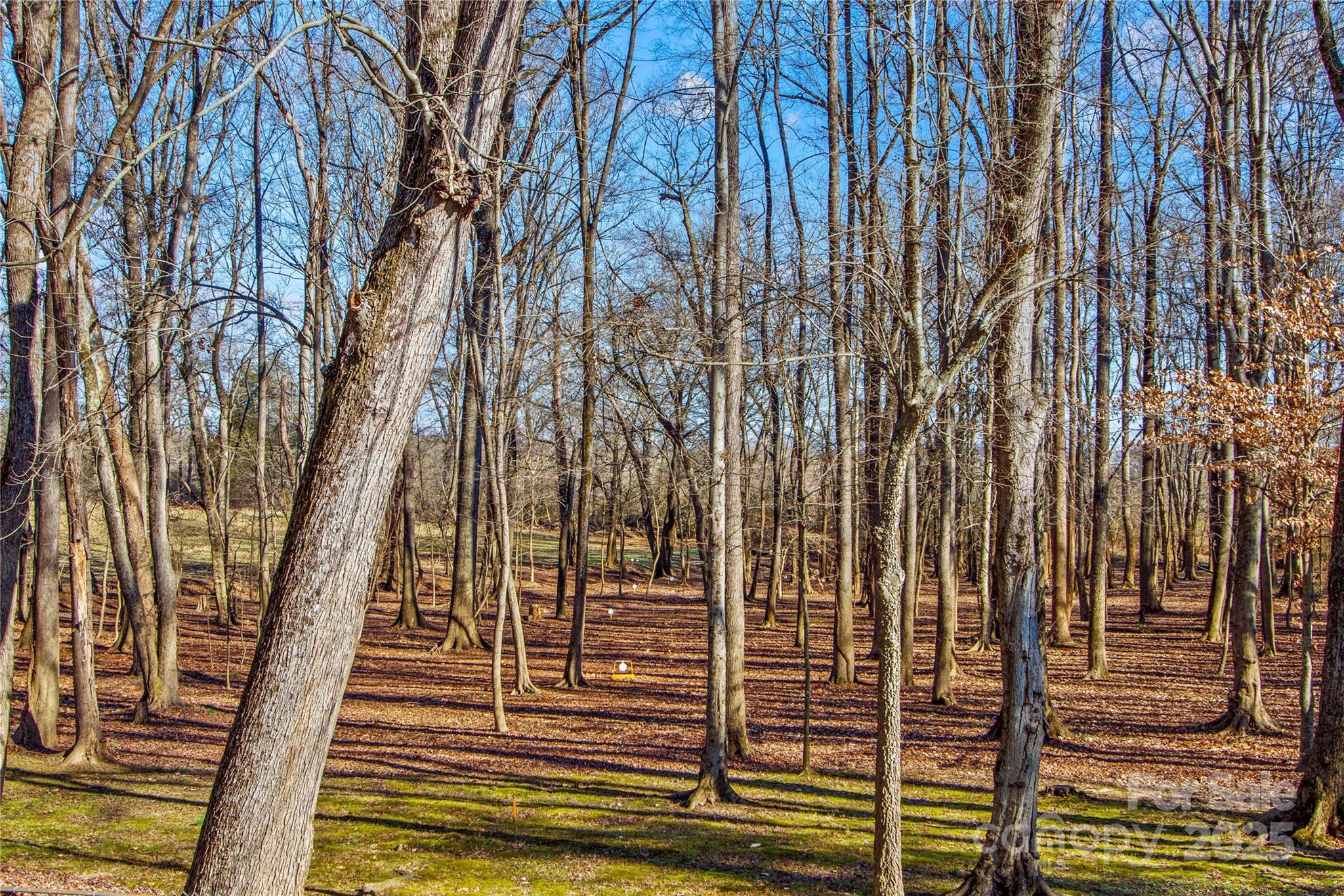 797 Chief Thomas Road Harmony, NC 28634 - Photo 35 of 35 Gallery Image 35
