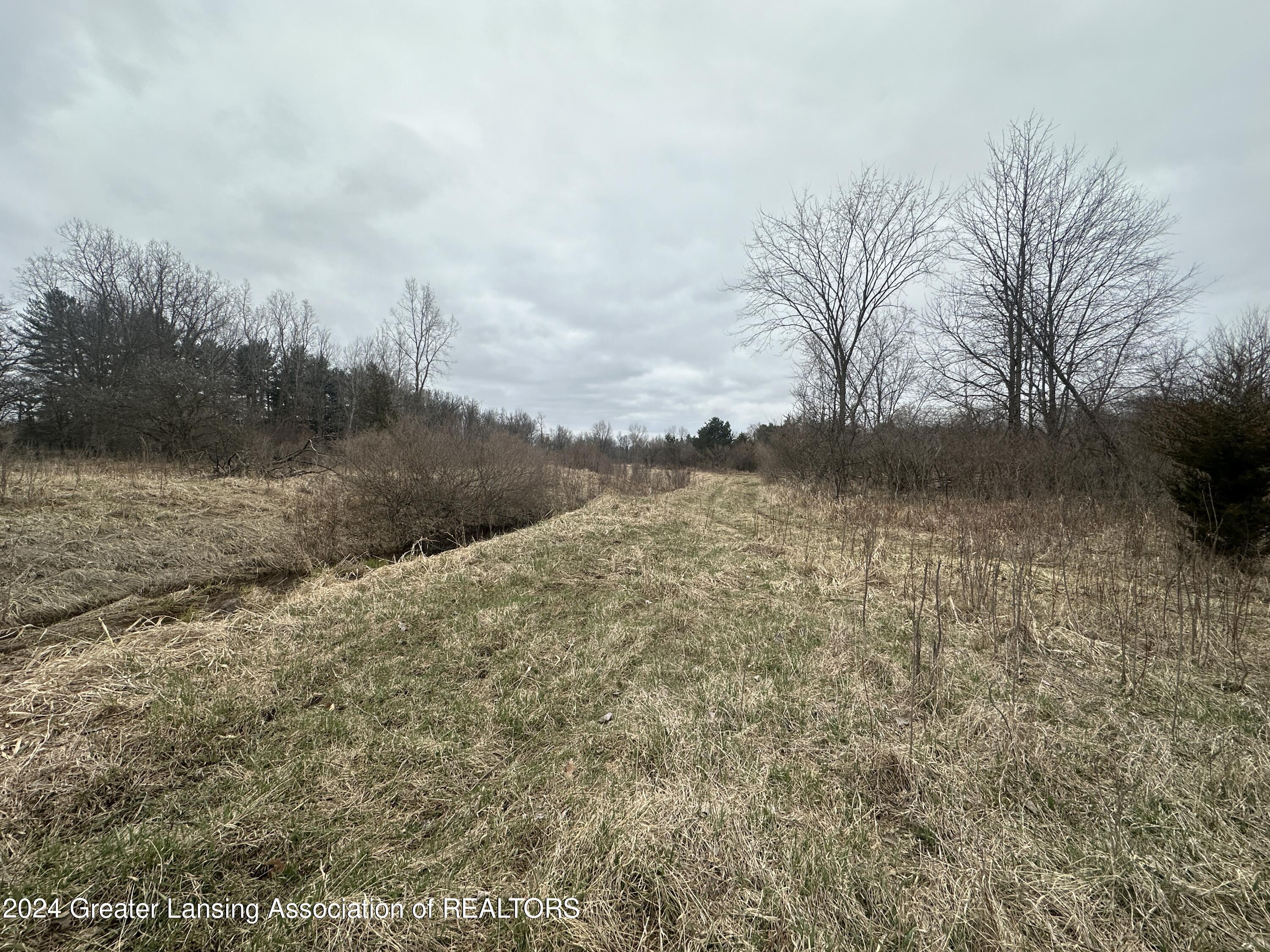 0 Howe Dewitt, MI 48820 - Photo 9 of 17 20240327_191024514_iOS