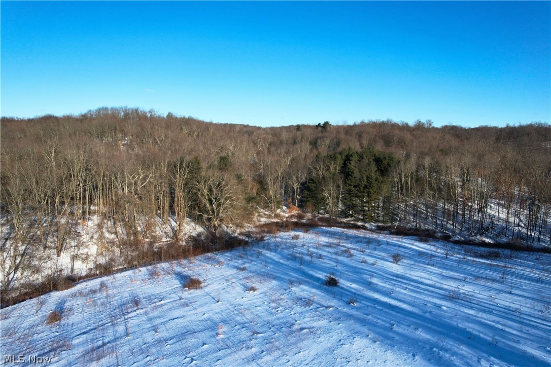 Fostor Road Dresden, OH 43821 - Photo 16 of 25 Snowy aerial view featuring a view of trees