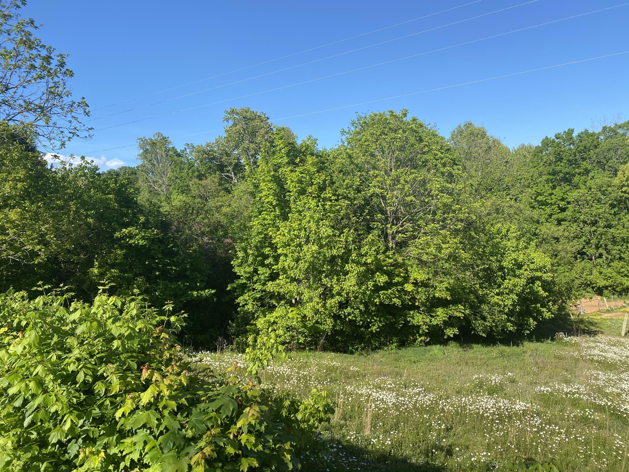 172 Kinser Branch Road Madisonville, TN 37354 - Photo 4 of 13 Gallery Image 4