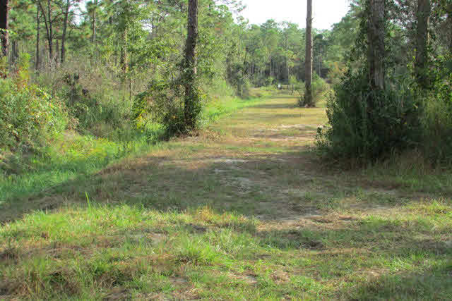 24602 Tarpon Lane Orange Beach, AL 36561 - Photo 40 of 40 Trail from Backyard
