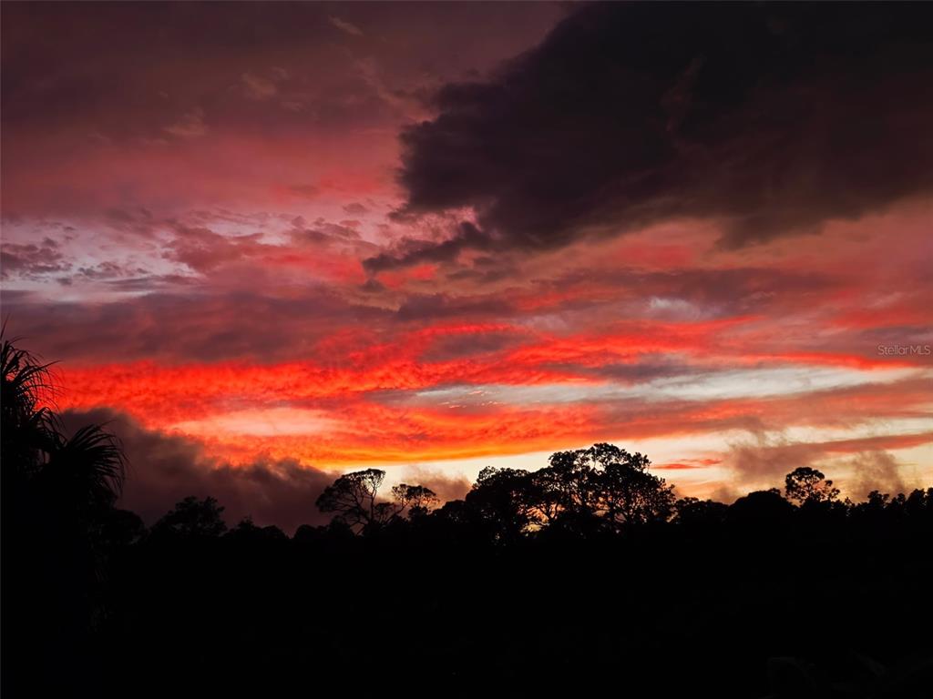 3025 Sheppards Crook Court Holiday, FL 34691 - Photo 16 of 20