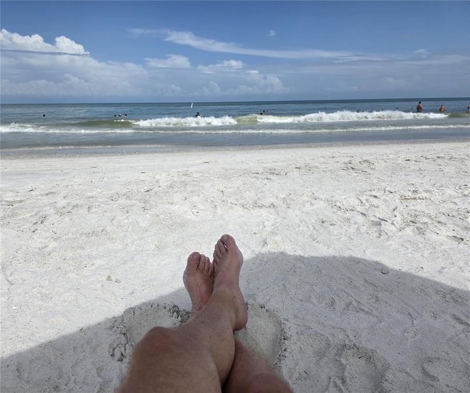 3025 Sheppards Crook Court Holiday, FL 34691 - Photo 17 of 20