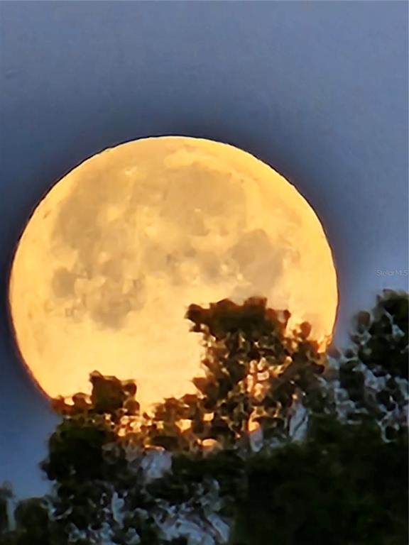 3025 Sheppards Crook Court Holiday, FL 34691 - Photo 18 of 20