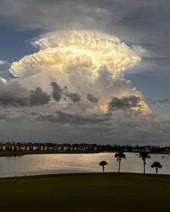 3025 Sheppards Crook Court Holiday, FL 34691 - Photo 19 of 20