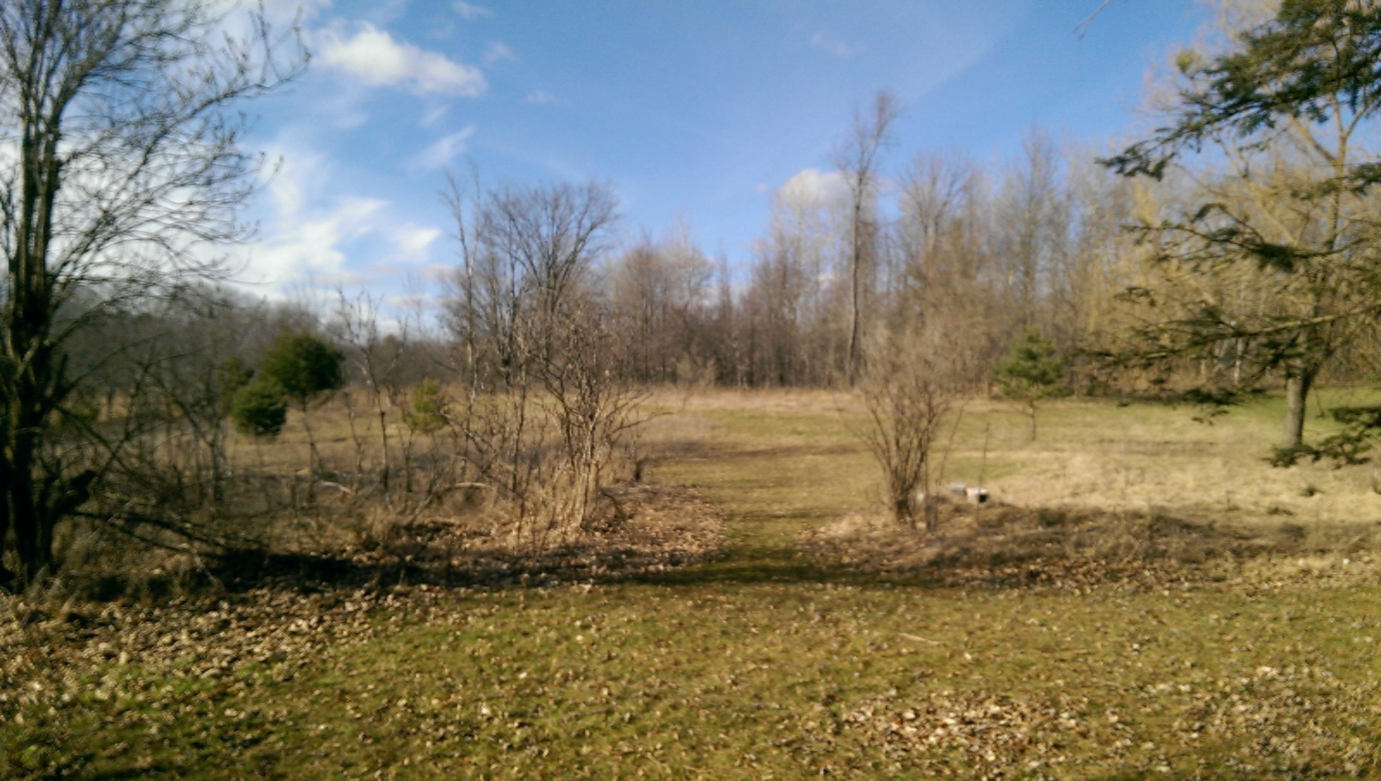 7552 Townline Road Lakeview, MI 48850 - Photo 18 of 19 IMAG2740