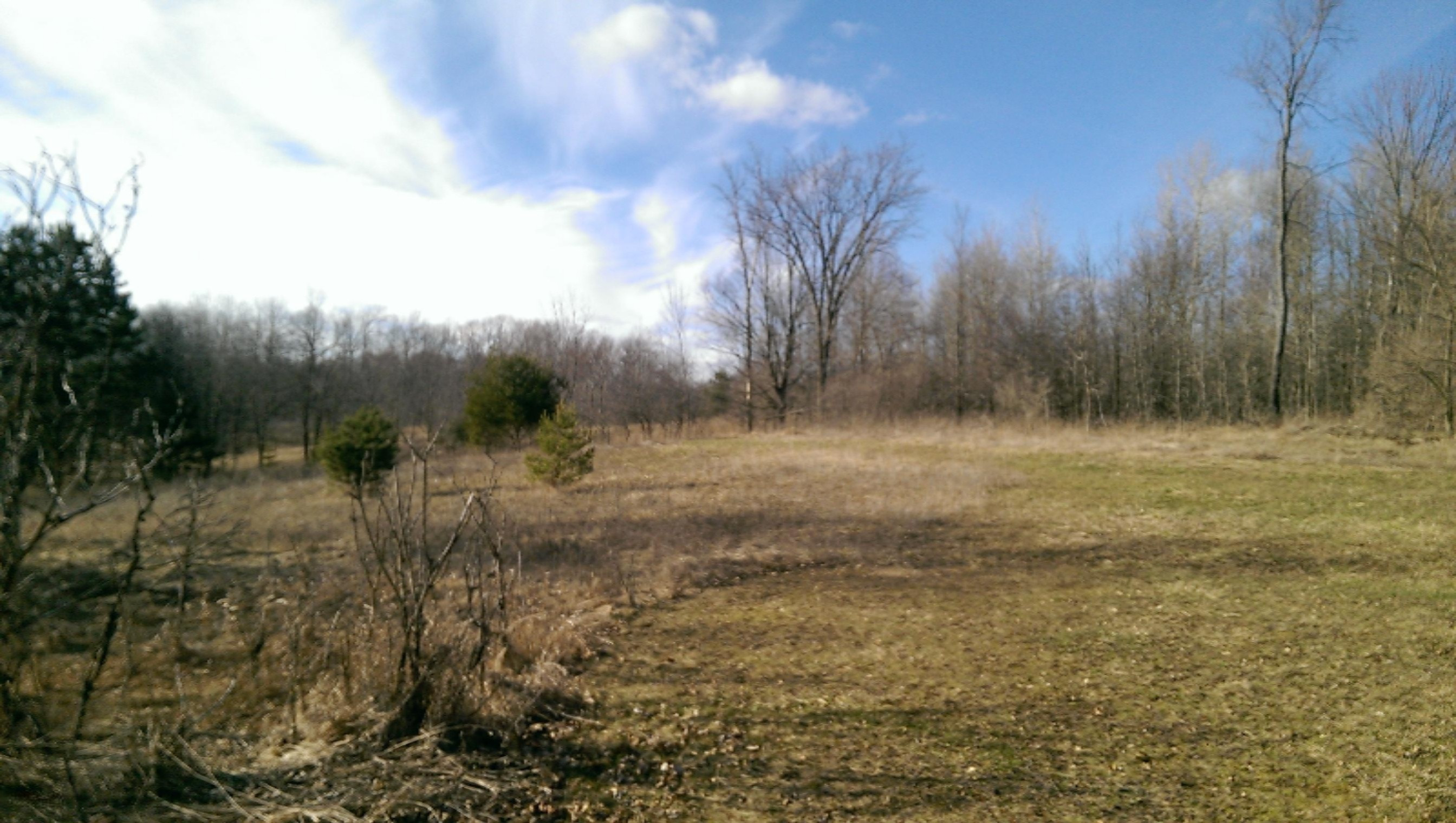 7552 Townline Road Lakeview, MI 48850 - Photo 19 of 19 IMAG2741