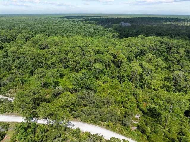 a view of a field of grass and trees