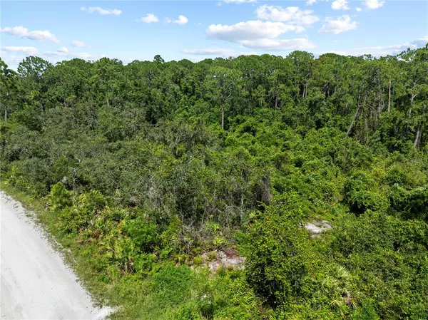 a view of a lots of trees