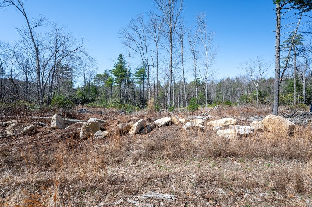 3014 Pine Mountain Road Independence, VA 24348 - Photo 11 of 50 Gallery Image 11