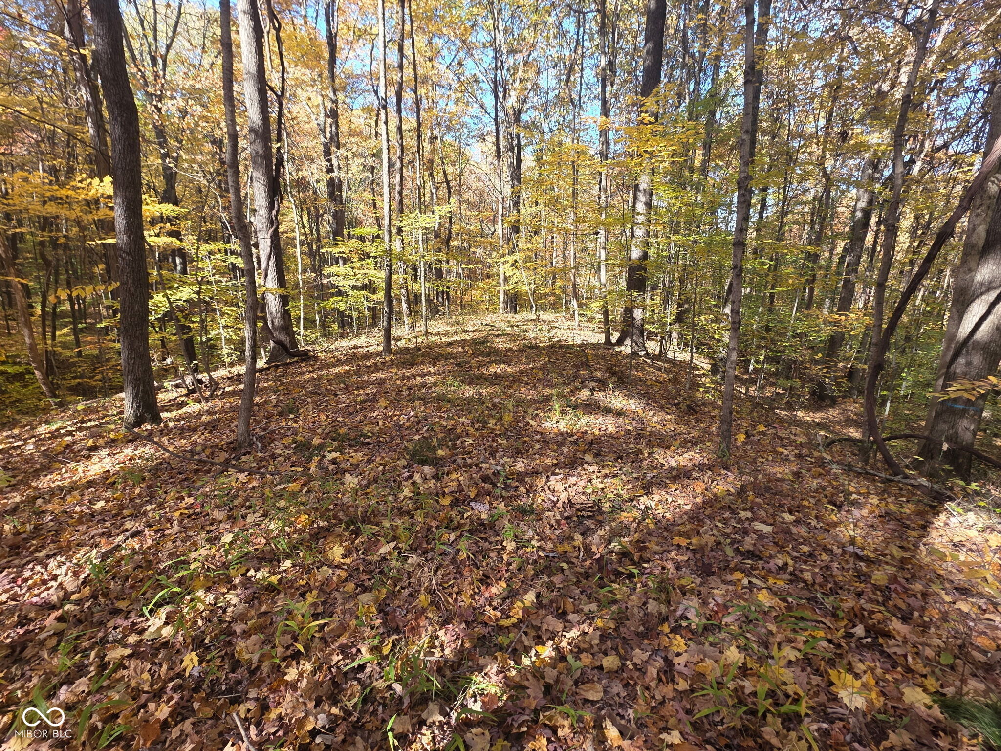 9660 A Old Haggard Road Morgantown, IN 46160 - Photo 13 of 17