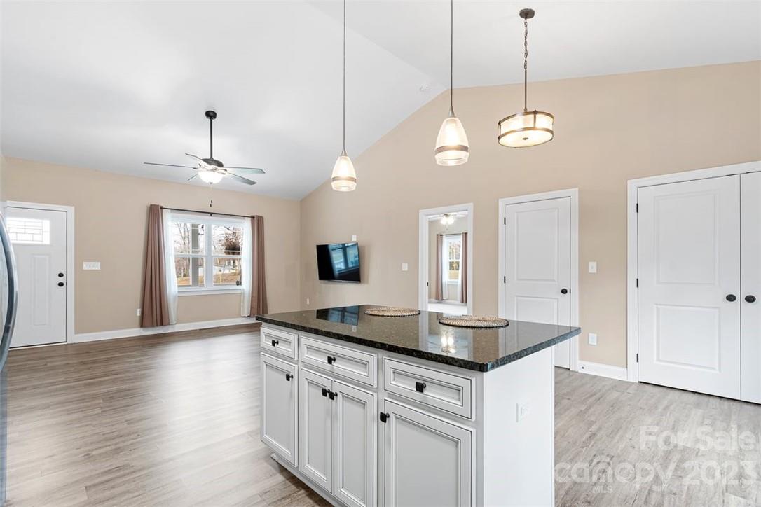 330 Manchester Road Mount Gilead, NC 27306 - Photo 11 of 30 a view of a kitchen counter space a sink and wooden floor