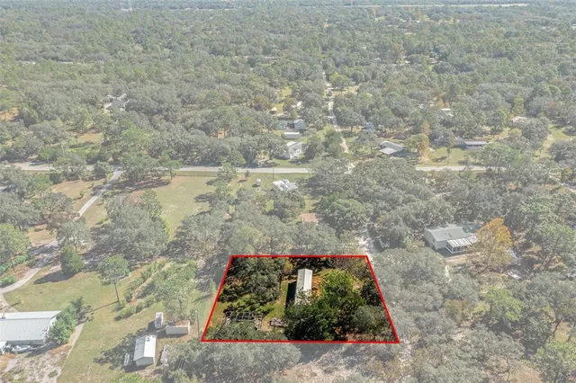 a view of a house with a lush green forest