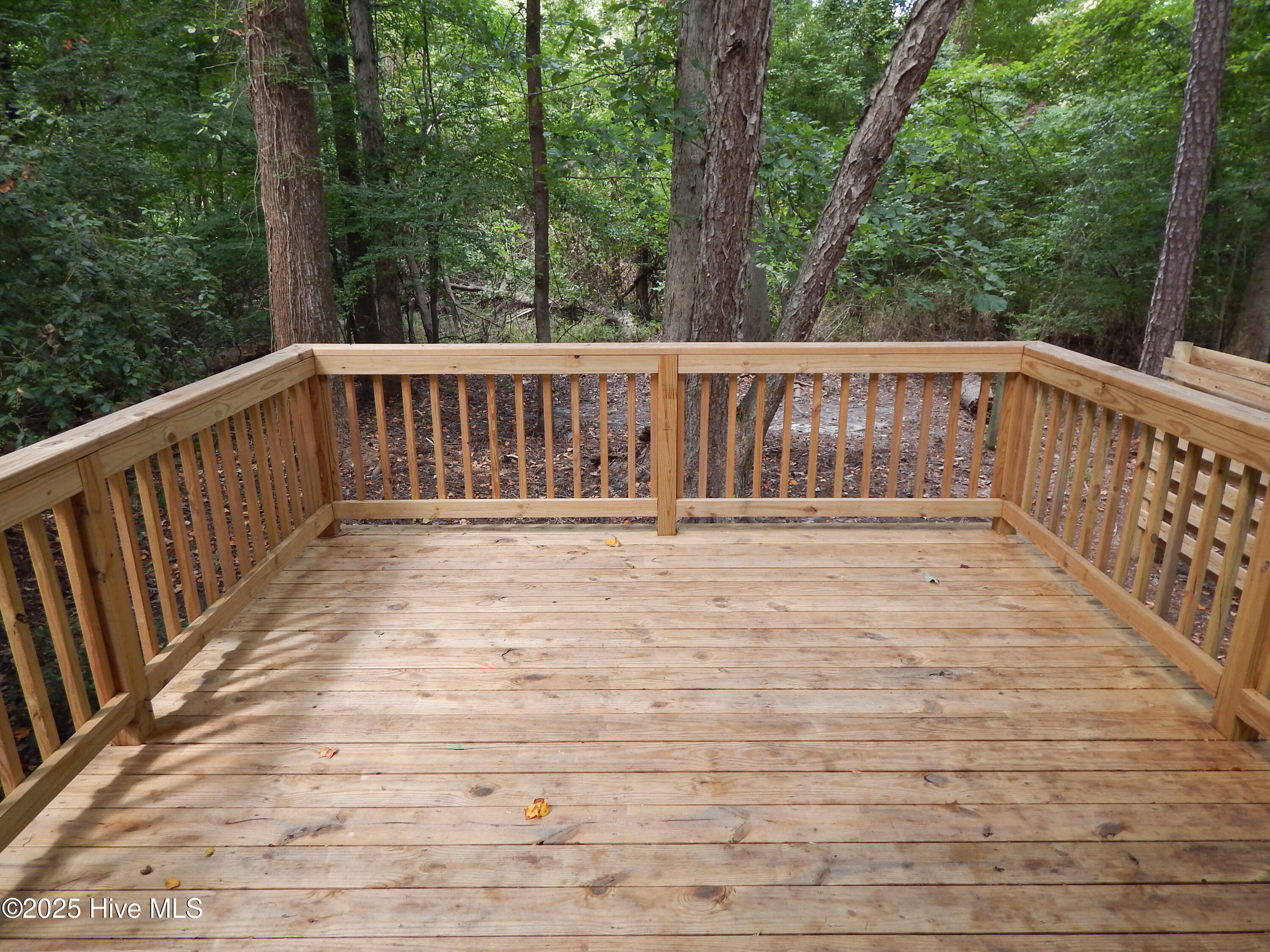 112 Ridge Place Greenville, NC 27834 - Photo 30 of 33 DSCN4430