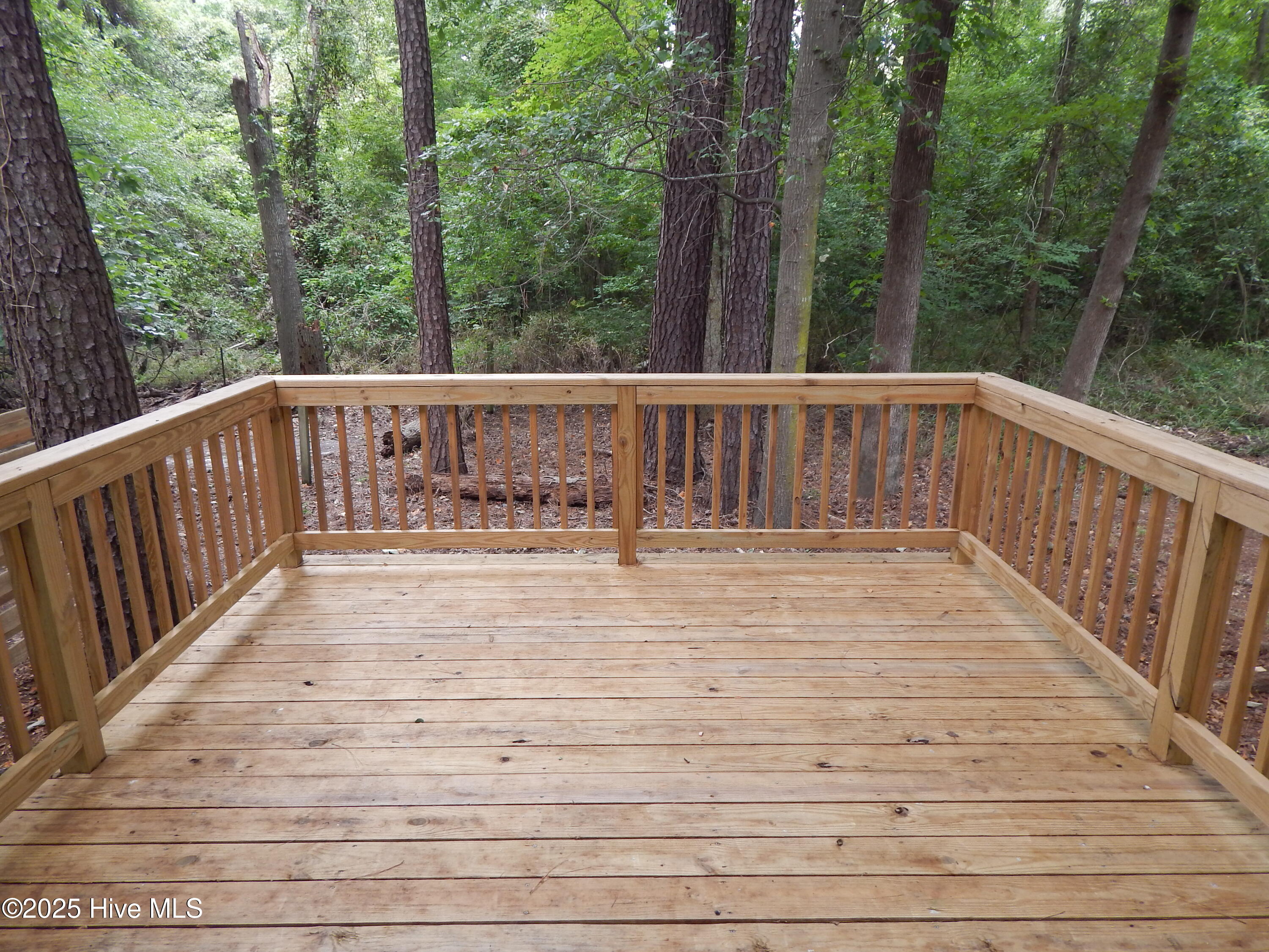 112 Ridge Place Greenville, NC 27834 - Photo 31 of 33 DSCN4431