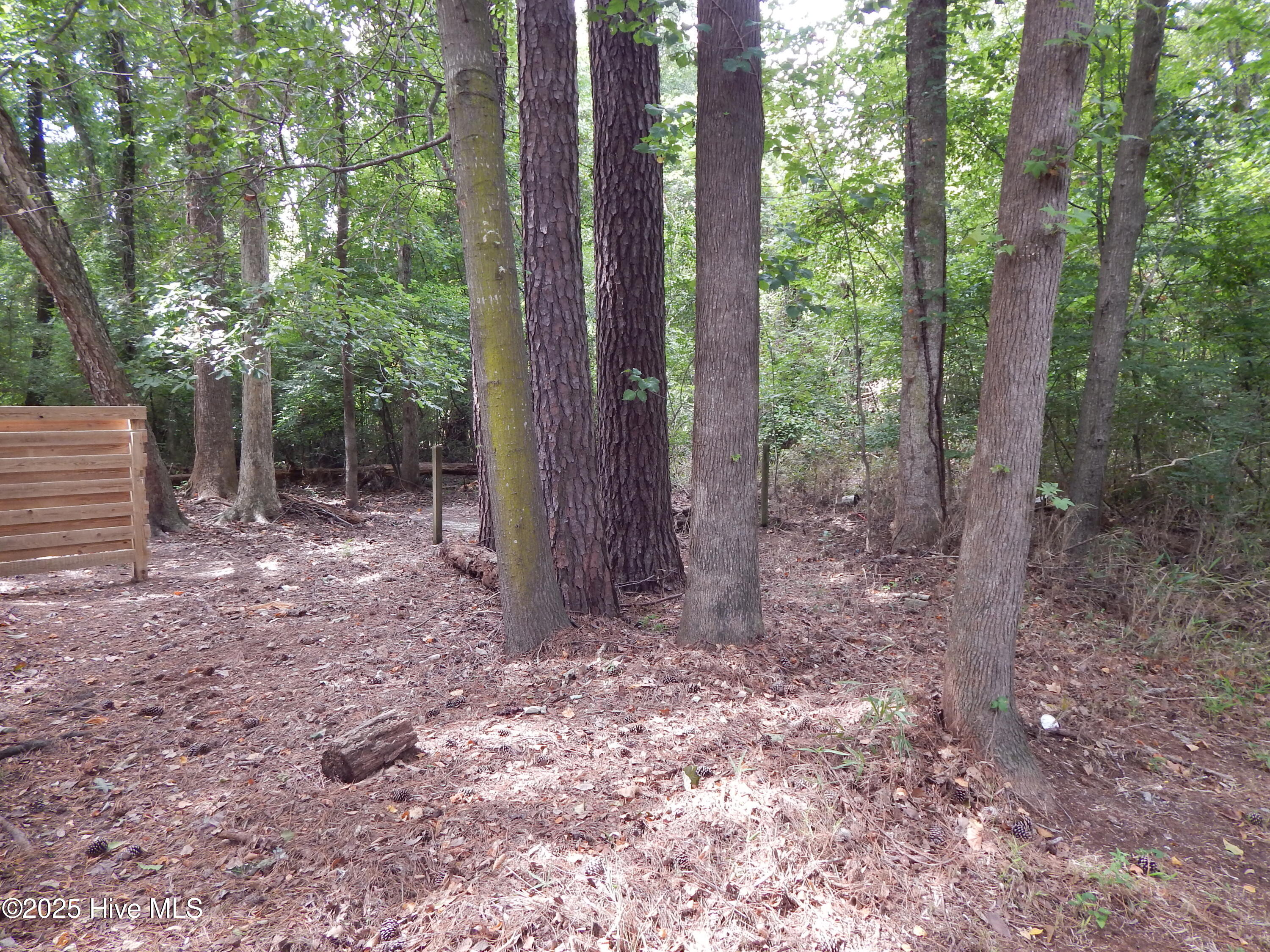 112 Ridge Place Greenville, NC 27834 - Photo 32 of 33 DSCN4424