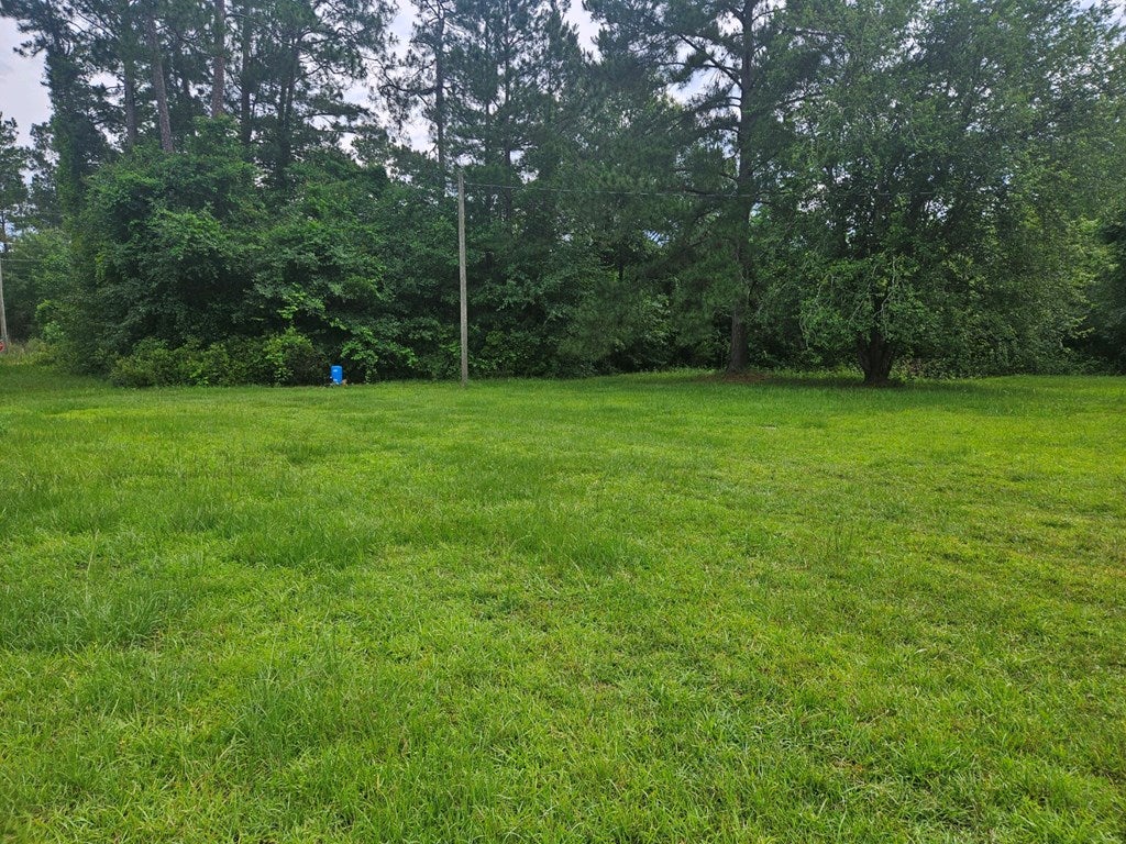 2894 Barker Road Ray City, GA 31645 - Photo 22 of 23 Gallery Image 22