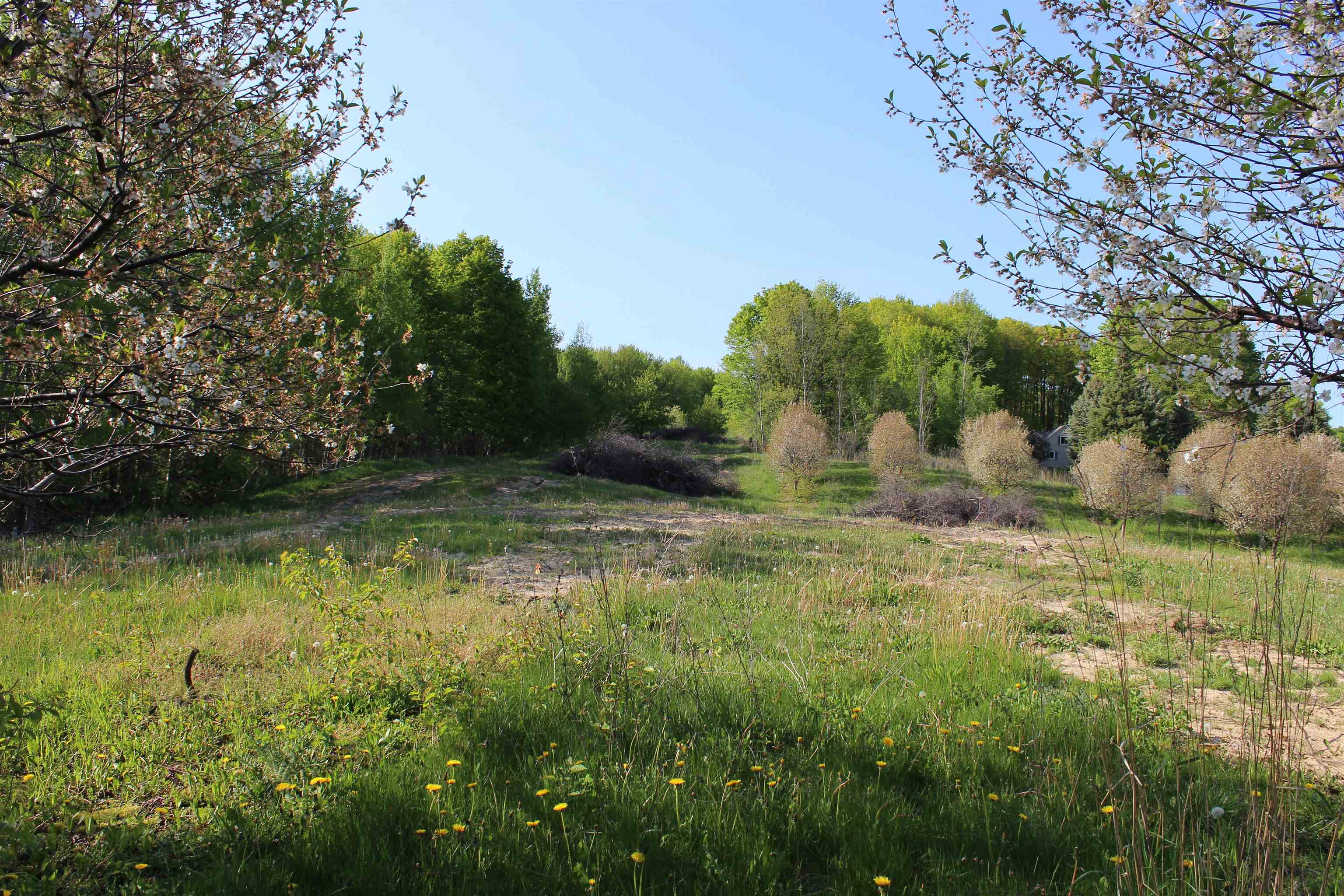 87 North Three Mile Road Traverse City, MI 49696 - Photo 4 of 10