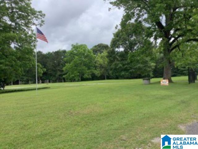 567 Hurricane Ridge Lawley, AL 36793 - Photo 10 of 13